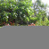 Kodai Resort 