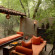 Mahua Kothi Safari Lodge 