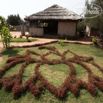 Lotus Resort Ramchandi Beach - Konark