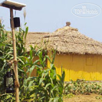 Lotus Resort Ramchandi Beach - Konark