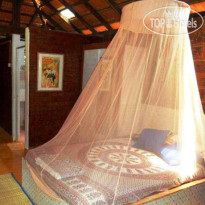 Namaste Yoga Farm