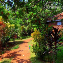 Namaste Yoga Farm 