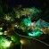 The Windflower Resort & Spa 