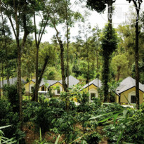The Windflower Resort & Spa