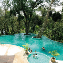 The Windflower Resort & Spa