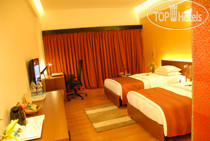 New photos from tourists Dolphin Hotel 4*