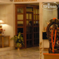 Dolphin Hotel