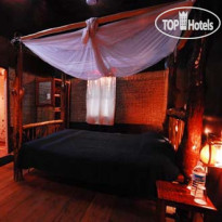 Wild Orchid Resort 