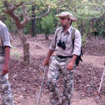 Chitvan Jungle Lodge 