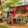 Fusion-Food,Drinks N Fun 