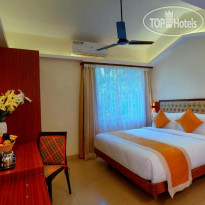 TreeHouse Stamp Benaulim
