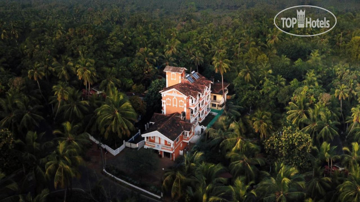 Hotel photo Treehouse Nova 3*