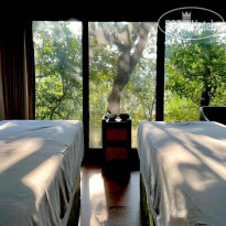 The Postcard Hideaway, Netravali 