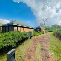 The Postcard Hideaway, Netravali 