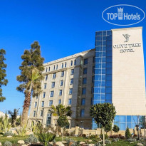The Olive Tree Hotel 