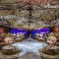 Signia by Hilton Amman 