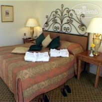 Movenpick Resort Petra 