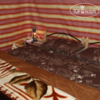 Seven Wonders Bedouin Camp