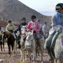 Seven Wonders Bedouin Camp