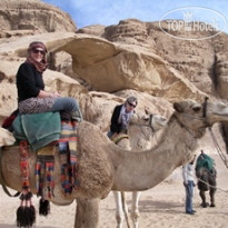 Seven Wonders Bedouin Camp