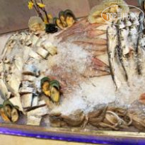 Modern Classic Hotel 