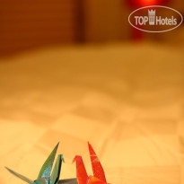 Shenzhen Grand Chu
