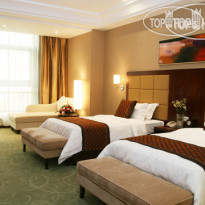 Fraternal Cooperation International 