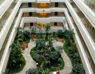 Hotelier's photos Joycity Hotel & Apartment 5*