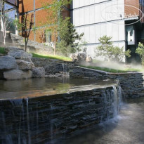 The Lake View