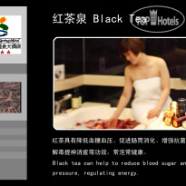 Xinyuan Hot Spring Hotel 