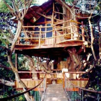 Sanya Nanshan Treehouse Resort and Beach Club 