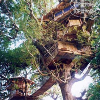 Sanya Nanshan Treehouse Resort and Beach Club 
