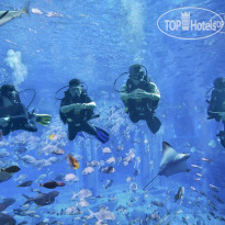 Atlantis Sanya 