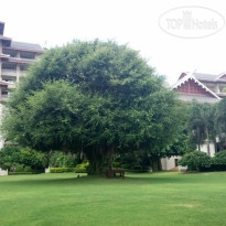 Haikou St.Fleur Conifer Hotel