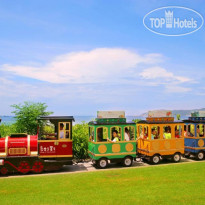 Mangrove Tree Resort 