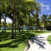 Mangrove Tree Resort 