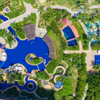 Mangrove Tree Resort 