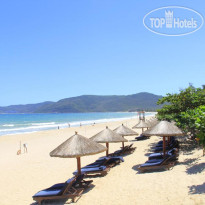 Mangrove Tree Resort 