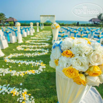 Mangrove Tree Resort 