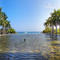 Mangrove Tree Resort 