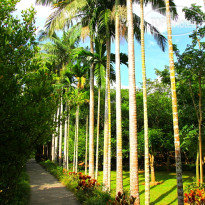 Four Points by Sheraton Shenzhou Peninsula 
