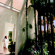 Westin Resort Macau 