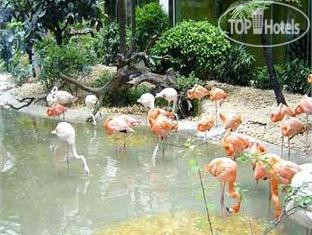 Hotel photo Chimelong 5*