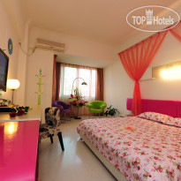 Starway Grand 0773