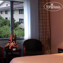 New Garden Hotel 