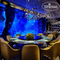 Intercontinental Shanghai Wonderland 