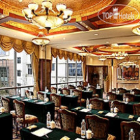 Graceland International 