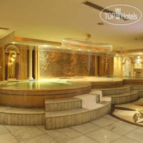 Zhejiang International 