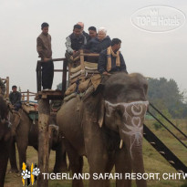 Tigerland Safari Resort 