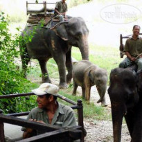 Machan Wildlife Resort 